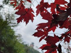 -仙山谷激浪漂流