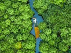 -尚湖风景区