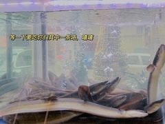 -本炙炭烤·蒲烧活鳗料理店(金沙洲店)