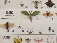 -四川大学博物馆