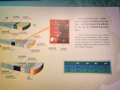 -大同煤炭博物馆