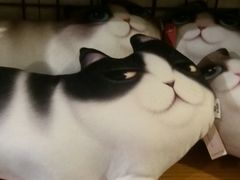 -猫咪博物馆(顶澳仔猫街店)