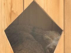 -青藏高原野生动物园