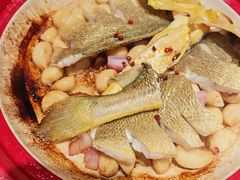 -1937青岛老味道·海肠捞饭·青岛菜(大鲍岛栈桥店)