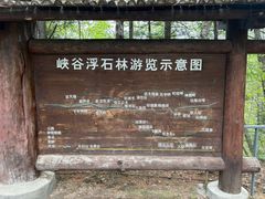 -峡谷浮石林景区