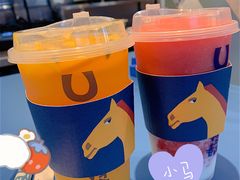 -春丽小马(济南恒隆广场店)