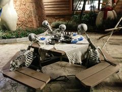 -美的鹭湖探索王国