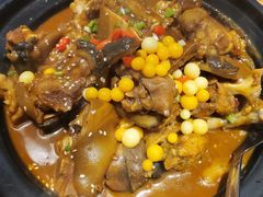 甲鱼牛蛙锅-洪湘记川湘·甲鱼馆(四海凯悦美食广场店)