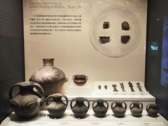-四川大学博物馆