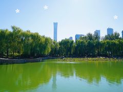 -团结湖公园