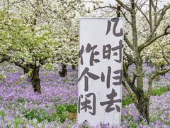 -江苏三台山国家森林公园