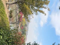 -狼山风景名胜区