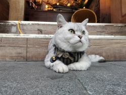 -青木造型HAIR·あおき髪を刈る潮人店