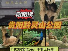 -黔灵山公园