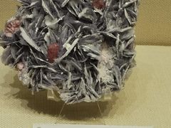 -二连浩特国家地质公园