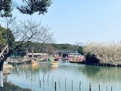 -沙家浜风景区