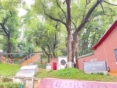 -马王堆汉墓遗址