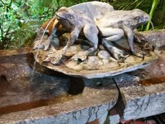 -三亚千古情景区游客中心-接待中心