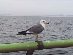 -小郭私房菜·海肠捞饭店(学士街店)