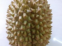 青尼王榴莲-PAGODA百果园(湛江城市美林店)