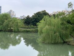 -中央公园(苏州工业园区)