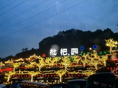 -枇杷园食为鲜火锅(南山店)