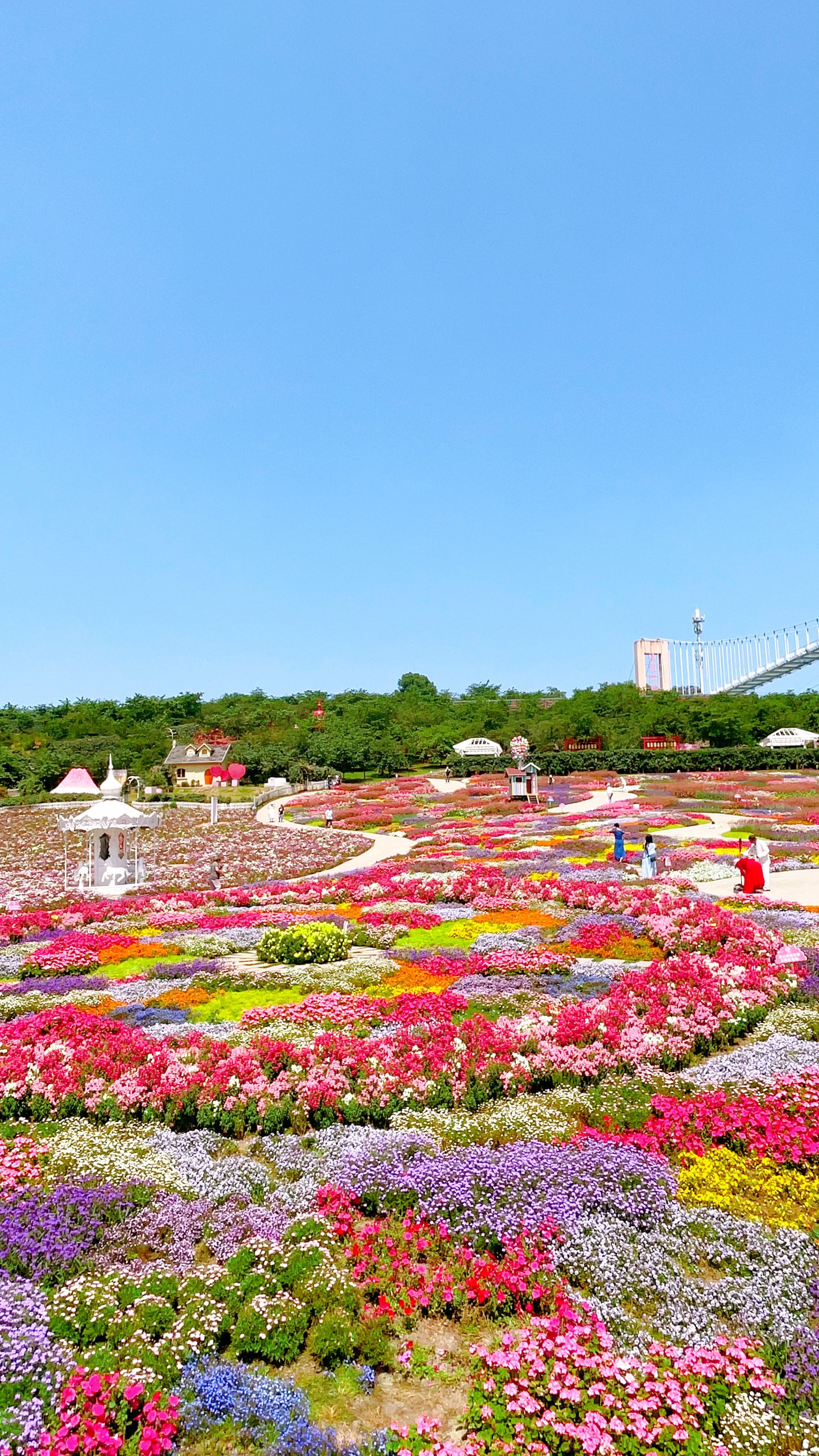 漫花庄园门票19元图片