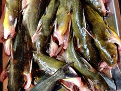 -荣德灶台鱼(圣泉寺店)