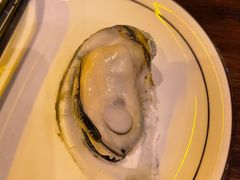 -土蚝·高压锅生蚝(百姓美食街店)