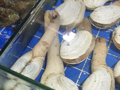 -鸿港海鲜批发市场