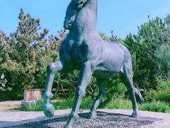 -养马岛旅游度假区