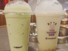 -一只酸奶牛(八一路店)