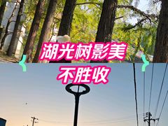 -东湖落雁景区