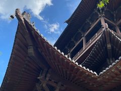 -杭州半山国家森林公园