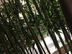 -水沐堂·漫温泉(居然雅苑店)
