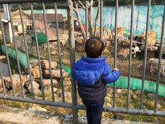 -无锡动物园·太湖欢乐园