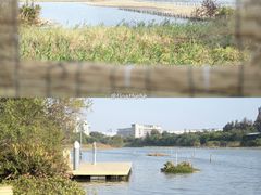 -华侨城湿地公园