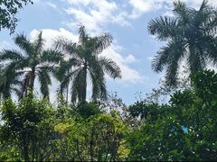 -嘉和K6温泉微度假