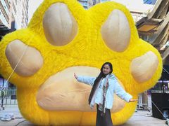 -佛山京华广场MALL