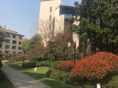 -上海崇明金茂凯悦酒店