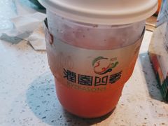 -润园四季椰子鸡火锅(海上世界店)