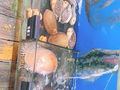 -蓝湾碧波·老字号·疍家非遗海上餐厅