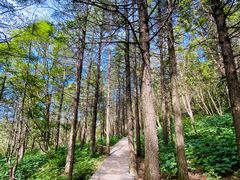 -白草畔自然风景区