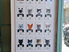 -喵屿·大理花园猫咖