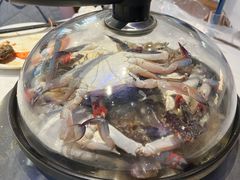 -半岛听涛蒸汽海鲜自助(K11店)
