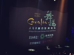 -cavalia·舞马