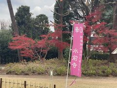 -水前寺成趣园