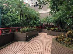 -香港大学