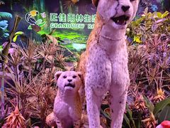 -正佳雨林生态植物园