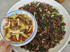 -铁山坪森林公园